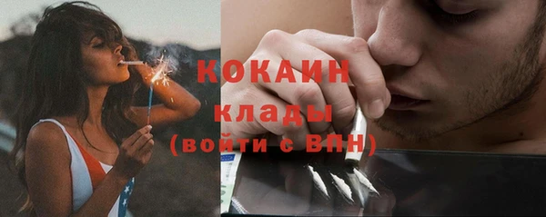 стаф Белокуриха