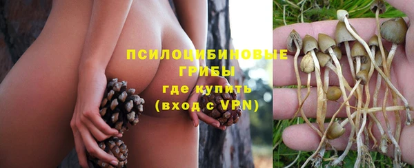стаф Белокуриха