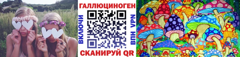 Псилоцибиновые грибы Psilocybine cubensis  наркошоп  Малмыж 